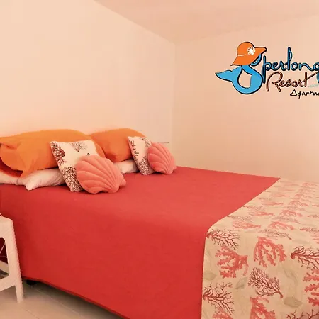 Casa Livia Sperlongaresort